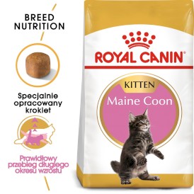 ROYAL CANIN Maine Coon Kitten 10kg