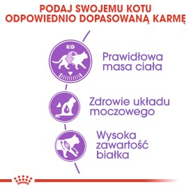 ROYAL CANIN Sterilised Feline 37 10kg - Zdjęcie nr 4