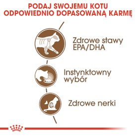 ROYAL CANIN Ageing 12+ w sosie 85g - Zdjęcie nr 4