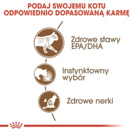 ROYAL CANIN Ageing 12+ w galaretce 85g - Zdjęcie nr 4