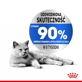 ROYAL CANIN Light Weight Care w sosie 12x85g - Zdjęcie nr 4