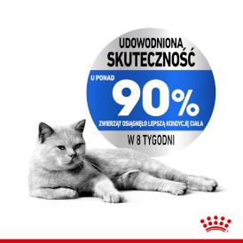 ROYAL CANIN Light Weight Care w galaretce 12x85g - Zdjęcie nr 4