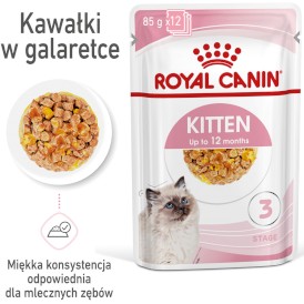 ROYAL CANIN KITTEN w galaretce 12x85g - Zdjęcie nr 3