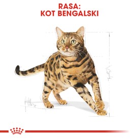 ROYAL CANIN BENGAL Adult 2kg - Zdjęcie nr 3