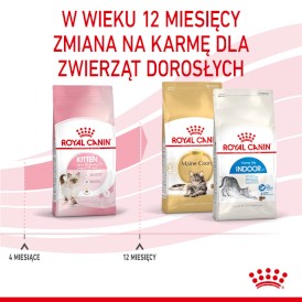 ROYAL CANIN Kitten Feline 10kg - Zdjęcie nr 7