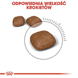 ROYAL CANIN Urinary Care 4kg *PROMOCJA - TYLKO ODBIÓR W GŁÓWNYM MAGAZYNIE* - Zdjęcie nr 5