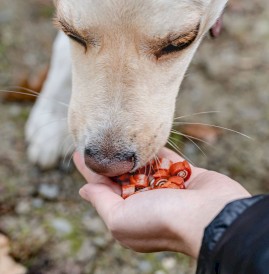 CANAGRI PET Rollsy Mini Krążki z Kaczki 500g - Zdjęcie nr 4