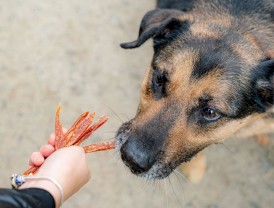 CANAGRI PET Stripsy z Królikiem 500g - Zdjęcie nr 4