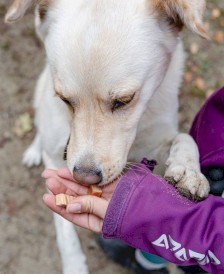 CANAGRI PET Kostki z Królikiem i Dorszem 500g - Zdjęcie nr 4