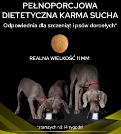 PURINA PVD HP Hepatic Canine 12kg - Zdjęcie nr 6