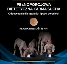 PURINA PVD DRM Dermatosis Canine 1,5kg - Zdjęcie nr 5