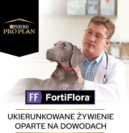 PURINA PVD Fortiflora Canine Probiotic 1g - 30szt - Zdjęcie nr 6