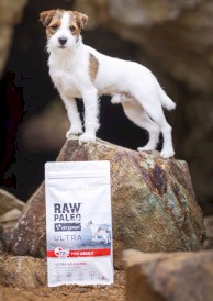 Vet Expert RAW PALEO Mini Adult Ultra Beef 750g - Zdjęcie nr 5